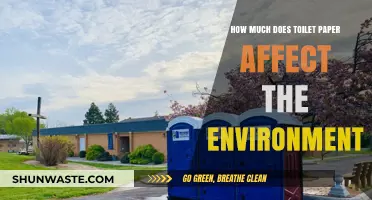 Toilet Paper's Environmental Impact: Uncovering the Hidden Costs of Comfort