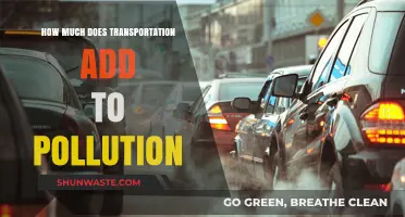 Transportation's Pollution Impact: Understanding the Cost