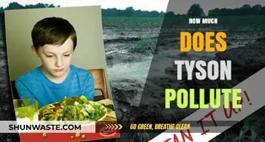 Tyson's Pollution Problem: Environmental Impact Exposed