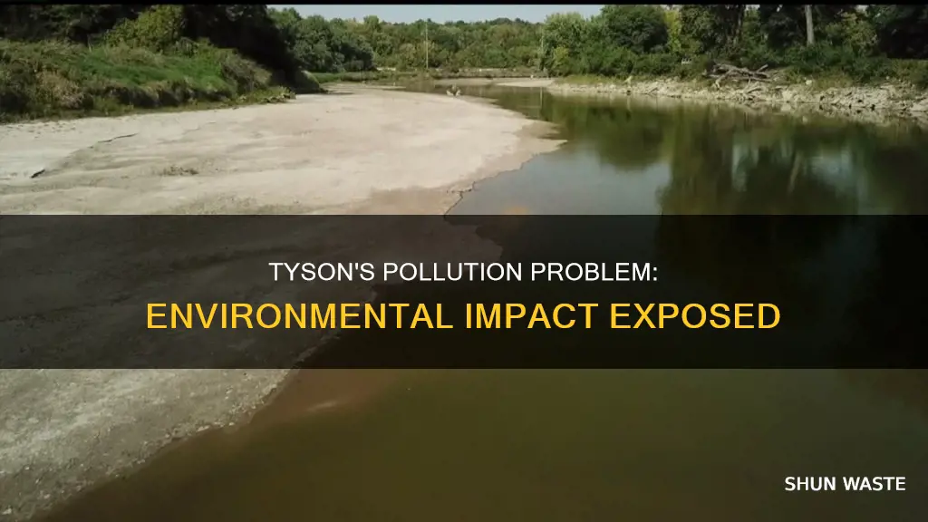 how much does tyson pollute