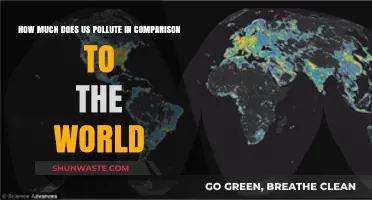 US Pollution: Global Comparison and Insights