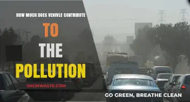 Vehicle Pollution's Impact: Understanding the Devastating Effects