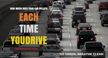 The Impact of Your Car's Pollution: Every Drive Counts