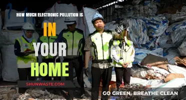 Unseen Home Pollution: Electronic Waste's Impact