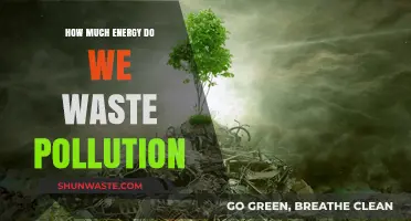 Energy Waste and Pollution: A Global Crisis