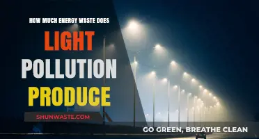 Light Pollution: Energy Waste and Solutions
