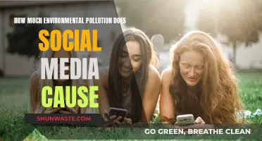 The Green Impact: Uncovering Social Media's Environmental Footprint