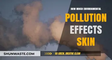 Environmental Pollution: Skin's Worst Enemy