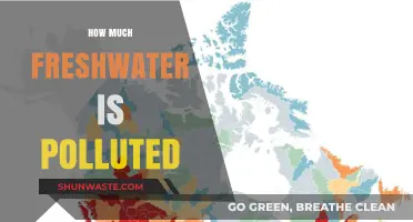 Freshwater Pollution: A Global Crisis