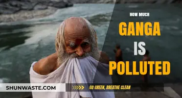 Ganga's Pollution Crisis: A Troubling Reality