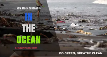 The Ocean's Garbage Problem: An Ominous Threat