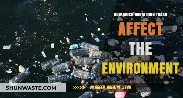 Trash's Toxic Impact: Uncovering Environmental Harm and Urgent Solutions