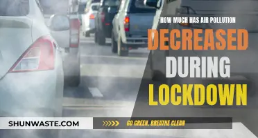 Air Pollution: Lockdown's Silver Lining?