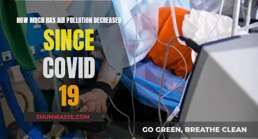 Air Pollution's Positive COVID-19 Impact: A Global Overview