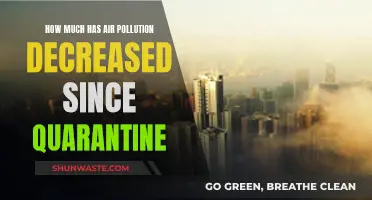 Air Pollution Decrease: Quarantine's Surprising Impact