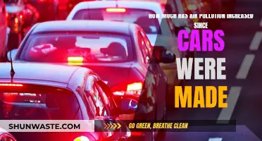 Cars' Evolution and the Air Pollution Conundrum