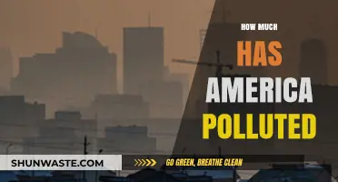 America's Pollution Problem: A Historical Perspective