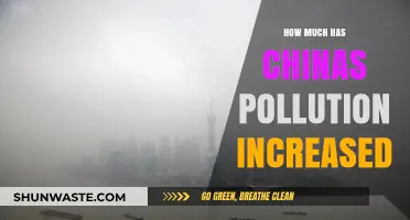 China's Pollution Problem: A Growing Crisis