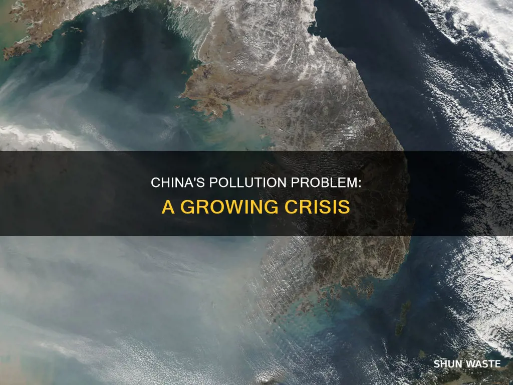 how much has chinas pollution increased