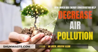 Energy Conservation's Impact on Air Pollution Reduction