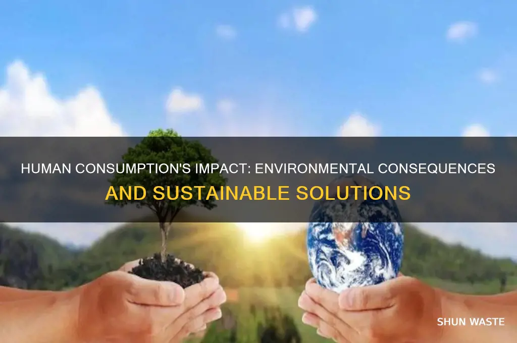 how much has human consumption affect the environment