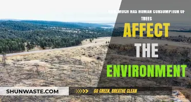 Human Tree Consumption: Environmental Impact and Unsustainable Practices Revealed