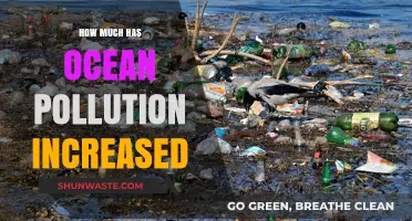 Alarming Rise of Ocean Pollution: A Global Concern