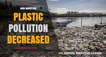 Plastic Pollution: A Decreasing Global Threat?