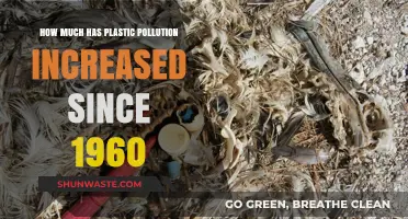 Plastic Pollution's Alarming Rise Since the 1960s
