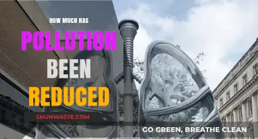 The World Breathes: Pollution Reduction Results
