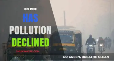 Pollution Declined: A Global Overview