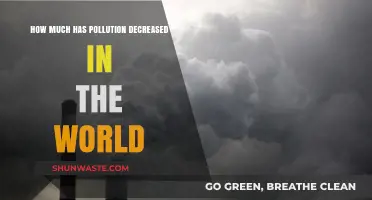 Pollution Decrease: A Global Improvement