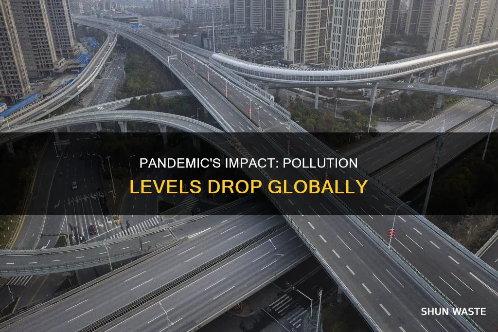 how much has pollution decreased since coronavirus