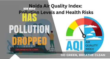 The Impact of Reduced Pollution: A Global Overview
