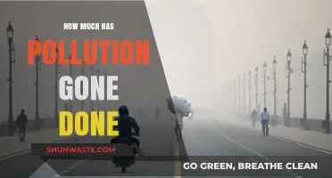 Pollution's Progress: A Declining Trend