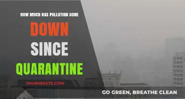 Lockdown's Impact: Pollution Levels Plummet