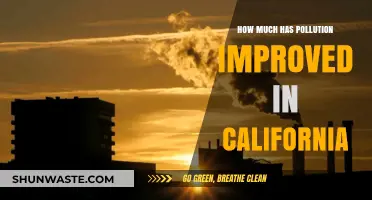 California's Pollution: Then and Now