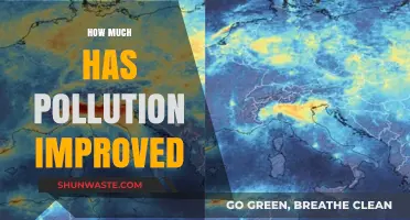 Pollution's Progress: A Brighter Outlook for Our Planet