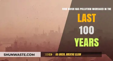 Pollution's Alarming Rise: A Century of Devastation