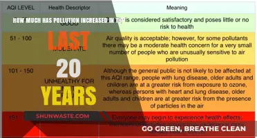 Pollution's Rapid Rise: A 20-Year Analysis