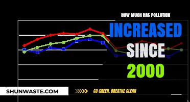 Pollution's Rapid Rise: A Troubling Trend Since 2000