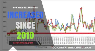 Pollution's Rise: A Decade's Worth of Damage