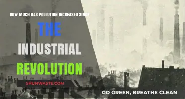 Industrial Revolution's Legacy: Pollution's Dark Evolution