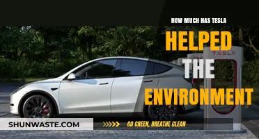 Tesla's Environmental Impact: Revolutionizing Sustainability in the Auto Industry