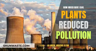 Coal Plants: Reducing Pollution, Improving Environmental Impact