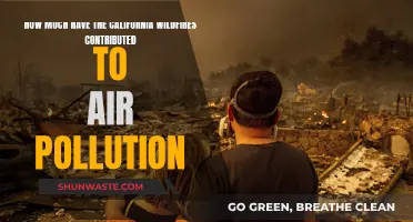 Wildfires' Impact on California's Air Quality and Pollution