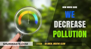 Reducing Pollution: Our Progress and Future Challenges