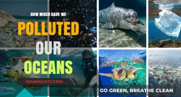 The Ocean's Plight: Pollution's Impact Revealed