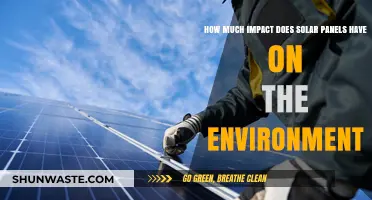 Solar Panels' Environmental Impact: Benefits, Challenges, and Sustainability Insights