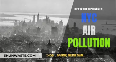 Air Quality in NYC: Breathing Easier?